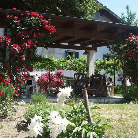 Casa Di Alfredo B&B - Citr9039 Mioglia Exterior photo
